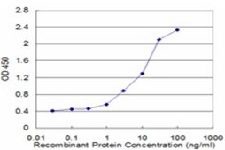 Monoclonal Anti-VDAC1 antibody produced in mouse clone 4C4, purified immunoglobulin, buffered aqueous solution