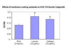 Neurite Outgrowth Assay Kit (3 µm) The NS220 Neurite Outgrowth Assay Kit (3 µm) is based on the use of Millicell cell culture inserts (chambers) containing a permeable membrane with 3-μm pores at the base.