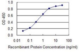 Monoclonal Anti-BRCA2 antibody produced in mouse clone 3D12, purified immunoglobulin, buffered aqueous solution