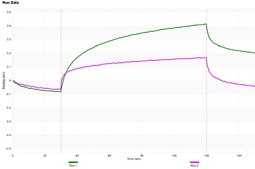 Anti-14-3-3 β/α Antibody, clone 1D15 ZooMAb® Rabbit Monoclonal recombinant, expressed in HEK 293 cells