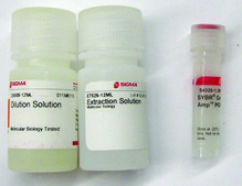 SYBR® Green Extract-N-Amp™ Plant PCR Kit sufficient for 100 preparations