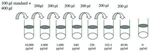 人类 ShhN ELISA 试剂盒 for serum, plasma, cell culture supernatants and urine