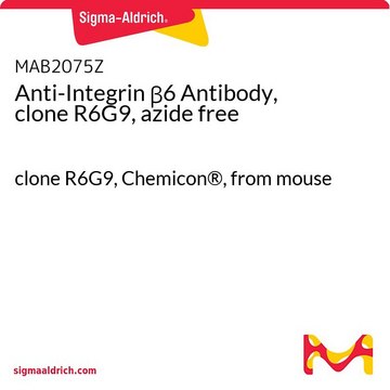 Anti-Integrin β6 Antibody, clone R6G9, azide free clone R6G9, Chemicon®, from mouse