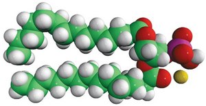 14:0 PA Avanti Research™ - A Croda Brand