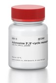 Adenosine 3′,5′-cyclic monophosphate ≥98.5% (HPLC), powder