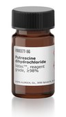 Putrescine dihydrochloride Vetec™, reagent grade, ≥98%