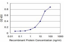 ANTI-NKX3-1 antibody produced in mouse clone 3C1, purified immunoglobulin, buffered aqueous solution