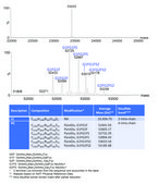 SILu™Lite SigmaMAb Cetuximab Monoclonal Antibody recombinant, expressed in CHO cells