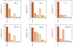 GeneJuice® Transfection Reagent Non-lipid based chemical transfection reagent optimized for maximum transfection efficiency, ease-of-use, and minimal cytotoxicity on a wide variety of mammalian cells.