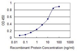 Monoclonal Anti-SRD5A2 antibody produced in mouse clone 1F4, purified immunoglobulin, buffered aqueous solution