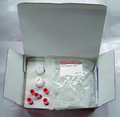 REDExtract-N-Amp™ Plant PCR Kit sufficient for 100 extractions, sufficient for 500 amplifications