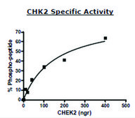 CHK2 active human recombinant, expressed in baculovirus infected Sf9 cells, ≥70% (SDS-PAGE)