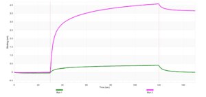 Anti-FGA Antibody, clone 4F6 ZooMAb® Rabbit Monoclonal recombinant, expressed in HEK 293 cells