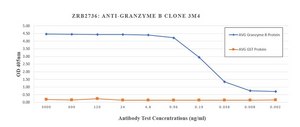 Anti-Granzyme B Antibody, clone 3M4 ZooMAb® Rabbit Monoclonal recombinant, expressed in HEK 293 cells