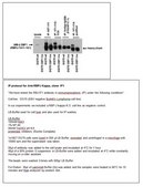 Anti-RBP-Jk, clone 1F1 Antibody clone 1F1, from rat