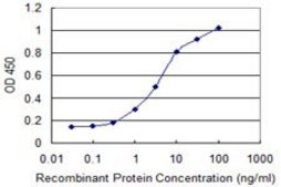 Monoclonal Anti-ABCC2 antibody produced in mouse clone 2H6, purified immunoglobulin, buffered aqueous solution