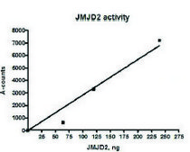 JMJD2A active human recombinant, expressed in E. coli, ≥80% (SDS-PAGE)