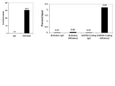 ChIPAb+ Dimethyl-Histone H3 (Lys4) - ChIP Validated Antibody and Primer Set clone CMA303, from mouse