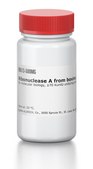 核糖核酸酶A 来源于牛胰腺 Molecular Biology, ≥70 Kunitz units/mg protein, lyophilized
