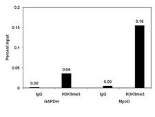 ChIPAb+ Trimethyl-Histone H3 (Lys9) - ChIP Validated Antibody and Primer Set from rabbit