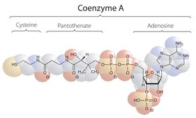 辅酶 A 水合物 ≥85% (UV, HPLC)