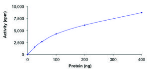 c-KIT (N822K), active, GST tagged human PRECISIO®, recombinant, expressed in baculovirus infected Sf9 cells, ≥70% (SDS-PAGE), buffered aqueous glycerol solution