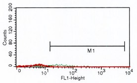 Anti-CD4 antibody, Mouse monoclonal clone Q4120, purified from hybridoma cell culture