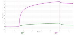 Anti-GCLC Antibody, clone 2H13 ZooMAb® Rabbit Monoclonal recombinant, expressed in HEK 293 cells