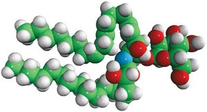 Glucosylceramide (Soy) Avanti Research™ - A Croda Brand