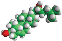 22(R)-hydroxycholesterol Avanti Research™ - A Croda Brand