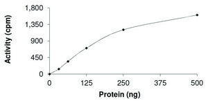 ROR1, Active PRECISIO® Kinase, recombinant