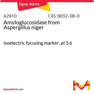 Amyloglucosidase from Aspergillus niger Isoelectric focusing marker, pI 3.6