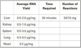 High Pure 组织RNA提取试剂盒 sufficient for 50 isolation(s), suitable for RT-PCR, suitable for Northern blotting