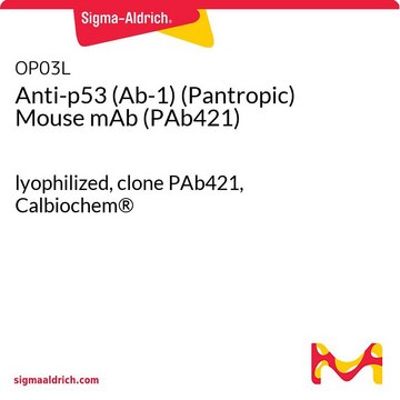 Anti-p53 (Ab-1) (Pantropic) Mouse mAb (PAb421) lyophilized, clone PAb421, Calbiochem®