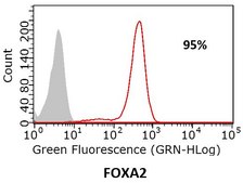 Definitive Endoderm Induction Medium