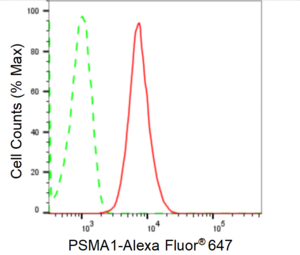 KD-Validated Anti PSMA1 Antibody, clone 24GB1610, Rabbit Monoclonal clone 24GB1610, recombinant rabbit monoclonal, expressed in HEK293 cells