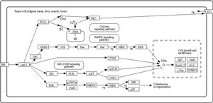 MAP Kinase 1/Erk1 Protein, active, 10 µg Active, recombinant, full-length, human MAP Kinase 1/Erk1 containing an N-terminal GST tag, for use in Kinase Assays.