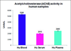Acetylcholinesterase Activity Assay Kit