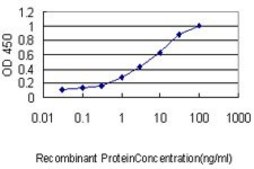 Monoclonal Anti-HDAC5 antibody produced in mouse clone 4G2, purified immunoglobulin, buffered aqueous solution