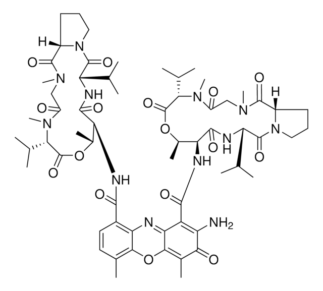 Actinomycin D Ready Made Solution, from Streptomyces sp., 2 mg/mL in DMSO